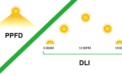 Do you really know PPFD and DLI?