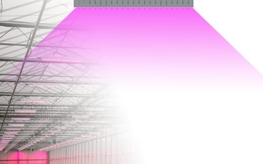supplemental lighting and photoperiod control lighting for greenhouse projects