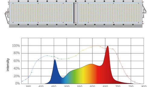 High-power plant fill light suitable for industrial hemp fill light