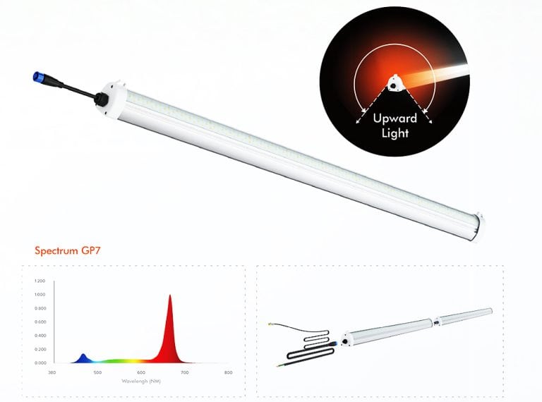 Versatile Supplementary Light