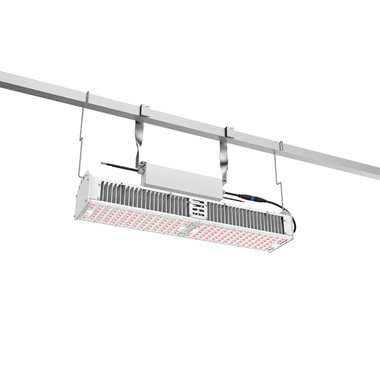 main-G66-01 (1)