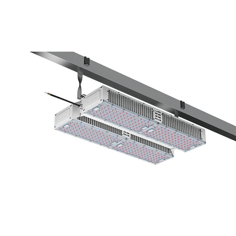 main-G67 (1)